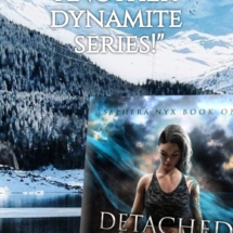DETACHED-ver-bar DETACHED-ver-bar